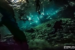 Mexico Tulum Scuba Dive Divesite Dos Ojos Cenote Backpacking Backpacker Travel