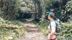 Panama Boquete Hiking Sendero de los Quezales Backpacking Backpacker Travel