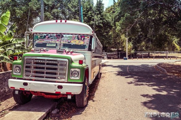 Panama City Chickenbus Backpacking Backpacker Travel