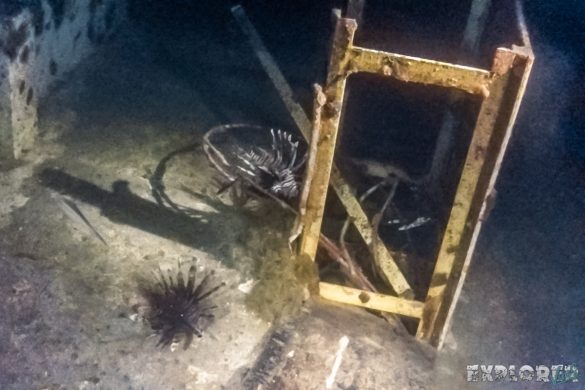 Panama Bocas Del Toro Scuba Nightdive Lionfish Wreck Divesite Lunchbox Backpacking Backpacker Travel