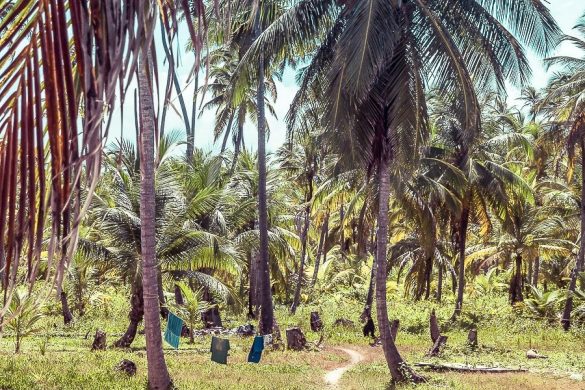 Panama San Blas Kuna Yala Isla Chichime Path Backpacking Backpacker Travel