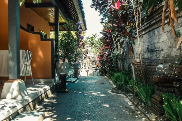 Indonesia Bali Ubud Ekas Homestay Backpacking Backpacker Travel