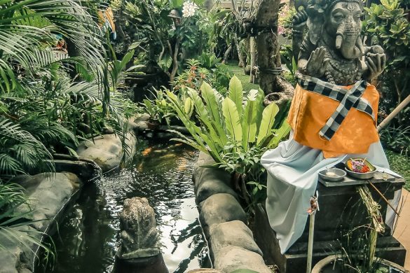Indonesia Bali Ubud Sandat Homestay Backpacking Backpacker Travel