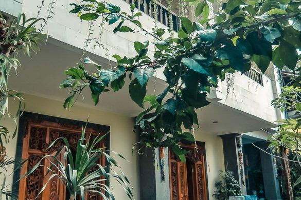 Indonesia Bali Ubud Sandat Homestay Backpacking Backpacker Travel
