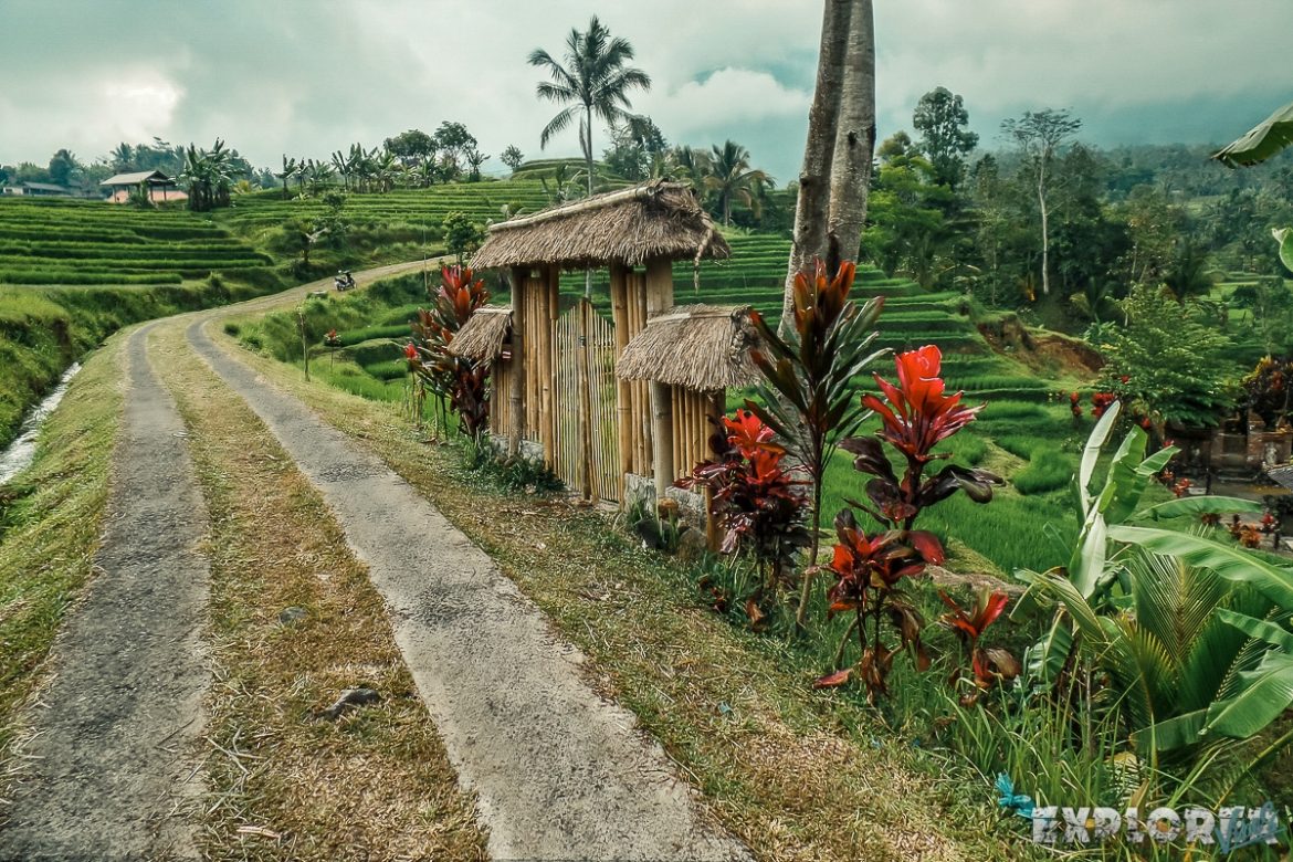 Indonesia Bali Jatiluwih Rice Terraces Backpacker Backpacking Travel