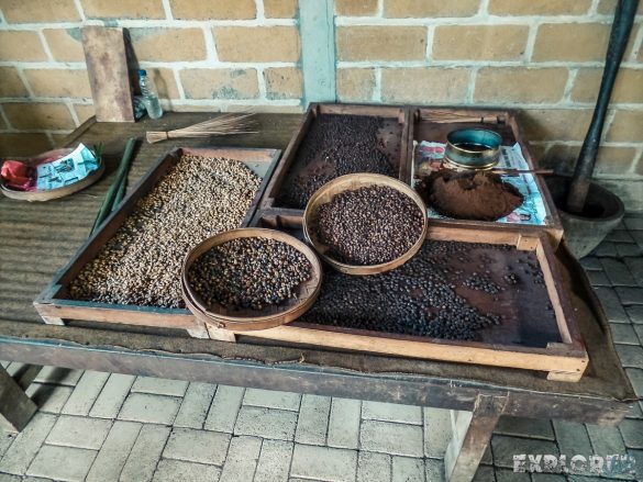 Indonesia Bali Kopi Luwak Coffee Backpacker Backpacking Travel
