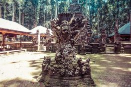 Indonesia Bali Sangeh Monkey Forest Backpacker Backpacking Travel