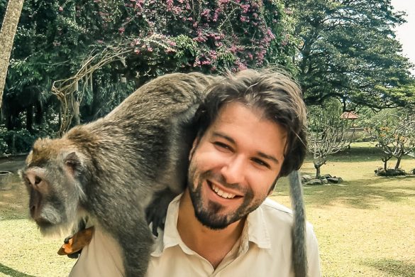 Indonesia Bali Sangeh Monkey Forest Backpacker Backpacking Travel