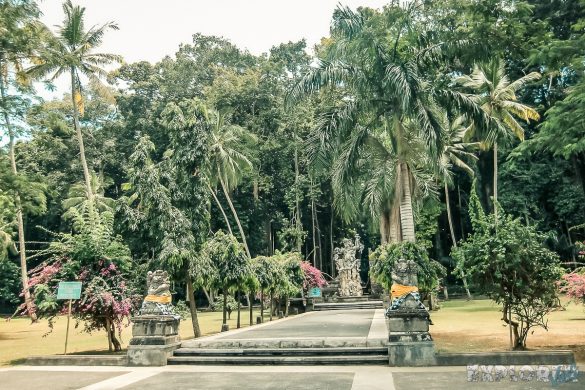 Indonesia Bali Sangeh Monkey Forest Backpacker Backpacking Travel