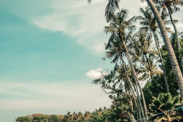 Indonesia Bali Tulamben USAT Liberty Wreck Scuba Diving Matahari Beach Backpacker Backpacking Travel