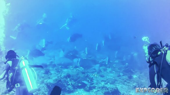 Indonesia Gili Trawangan Scuba Dive Bumphead Backpacker Backpacking Travel