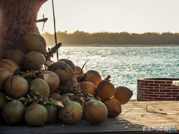Indonesia Gili Trawangan Sunrise Beach Coconut Backpacker Backpacking Travel