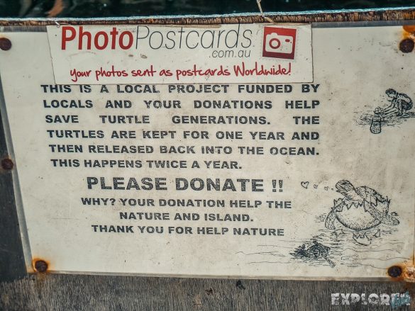 Indonesia Gili Trawangan Turtle Conservation Backpacker Backpacking Travel