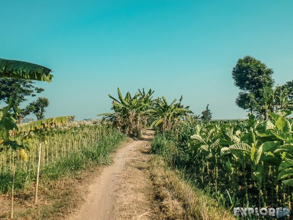 Route Indonesia Bali Java Bus Backpacker Backpacking Travel 4