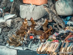 Indonesia Yogyakarta Creepy Stuffed Animals Backpacking Backpacker Travel