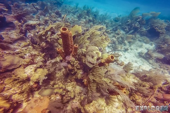 cuba trinidad playa ancon scuba diving backpacker backpacking travel