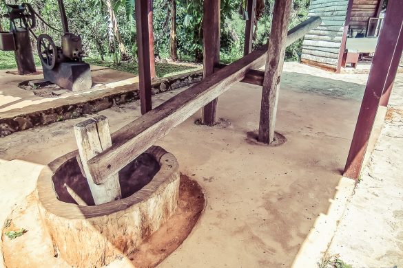 cuba trinidad topes de collantes coffee backpacker backpacking travel