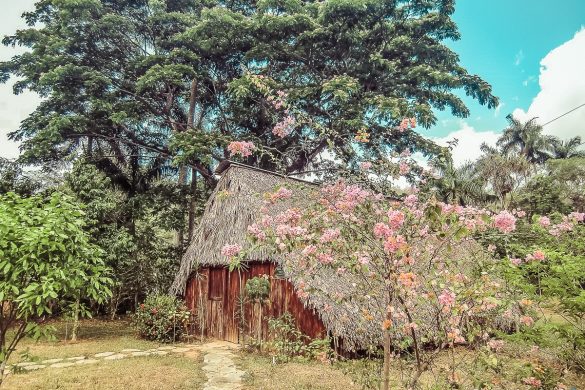 cuba vinales hut backpacker backpacking travel