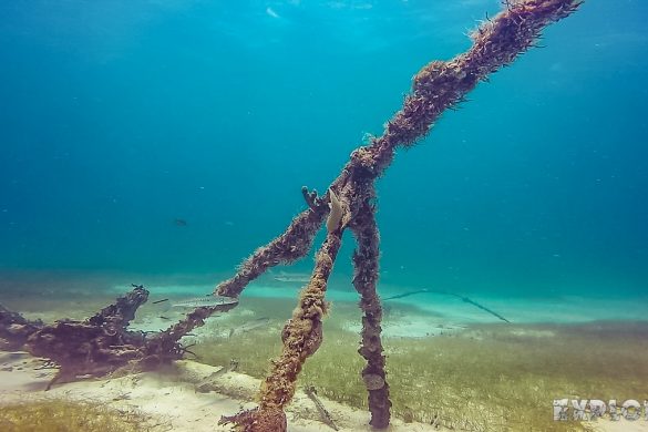 cuba varadero beach scuba dive caribe wreck backpacker backpacking travel