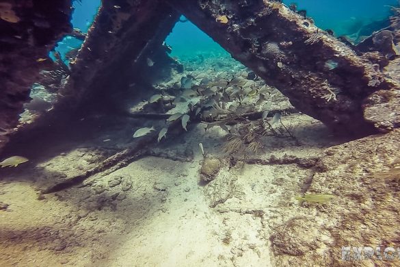 cuba varadero beach scuba dive neptuno wreck backpacker backpacking travel