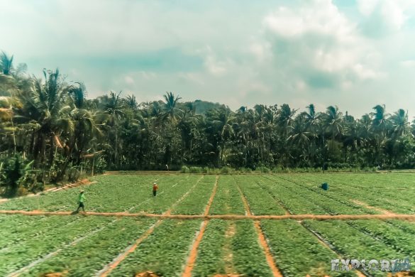 Indonesia Yogyakarta Jakarta Train Ride Backpacking Backpacker Travel