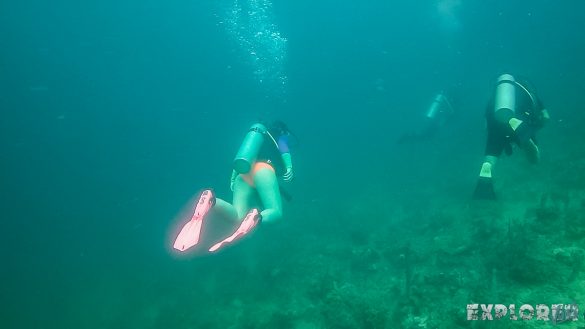 Panama Bocas Del Toro Scuba Diving Divespot Casa Verde Backpacking Backpacker Travel