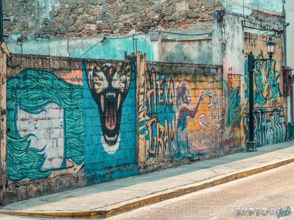 Panama City Graffiti Backpacker Backpacking Travel 2
