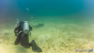Panama Isla Coiba Whitetip Shark Backpacking Backpacker Travel