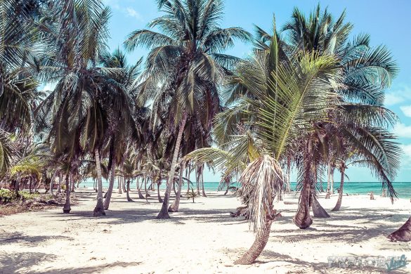 Panama San Blas Kuna Yala Chichime Backpacking Backpacker Travel 2