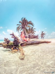 Panama San Blas Kuna Yala Tiny Island Tree Backpacking Backpacker Travel