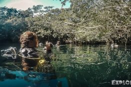 mexico tulum scuba diving divespot angelita cenote backpacking backpacker travel
