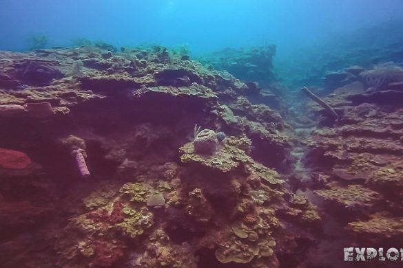 cuba trinidad playa ancon scuba diving backpacker backpacking travel