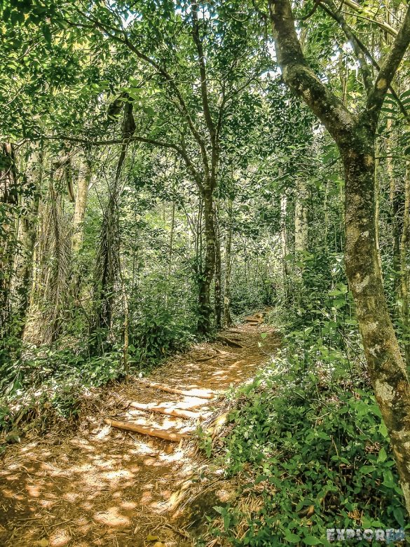cuba trinidad topes de collantes backpacker backpacking travel
