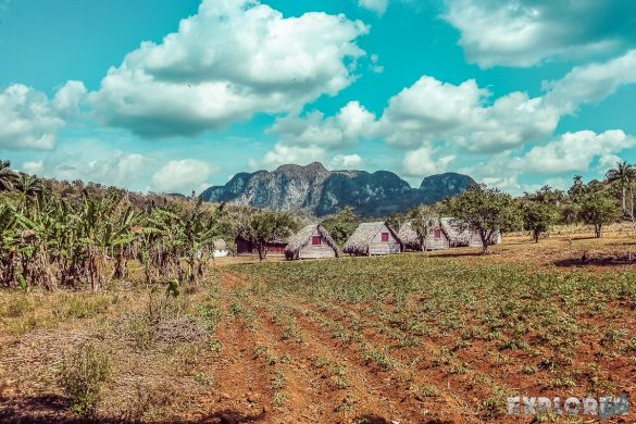 cuba vinales farm backpacker backpacking travel