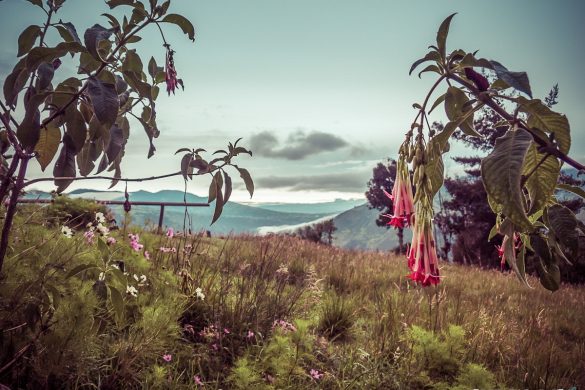 Ecuador Banos Mirador Morning Backpacking backpacker Travel