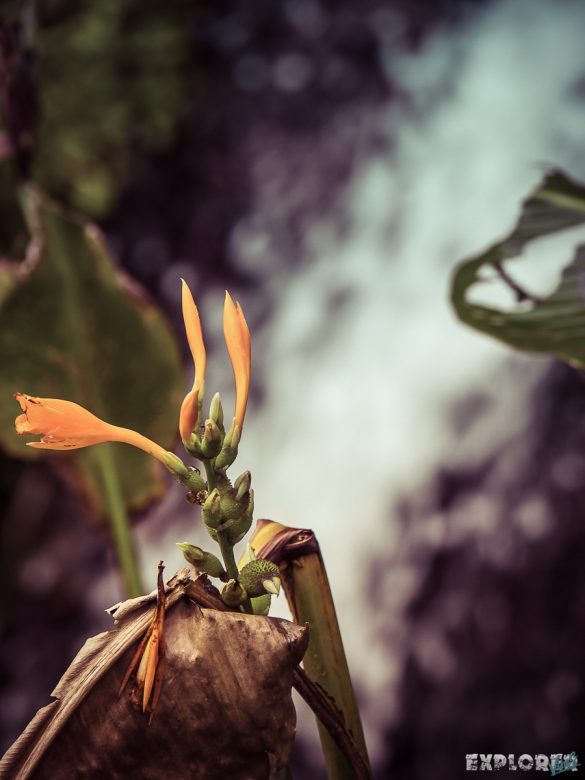 Ecuador Banos Water Backpacking Backpacker Travel
