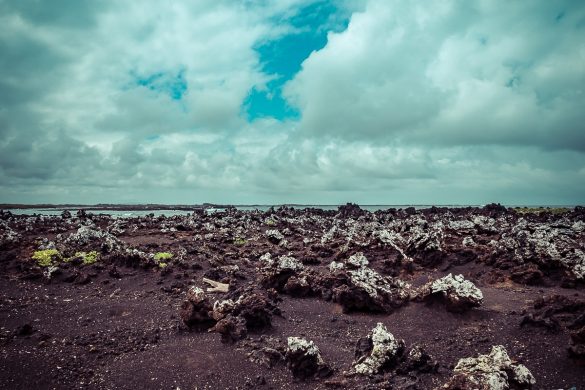Ecuador Isabela Galapagos Las Tintoreras Backpacking Backpacker Travel