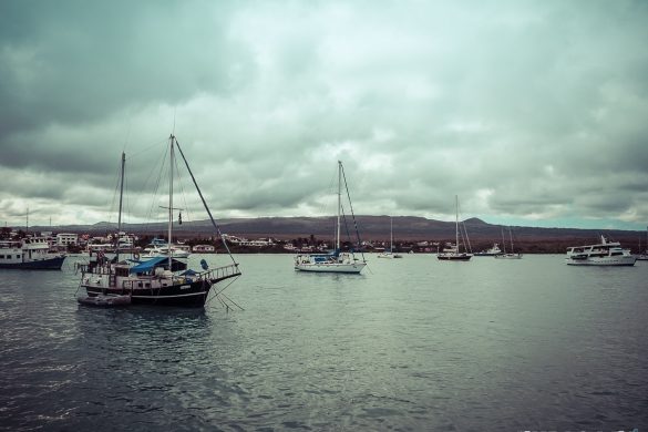 Ecuador Santa Cruz Galapagos Backpacking Backpacker Travel