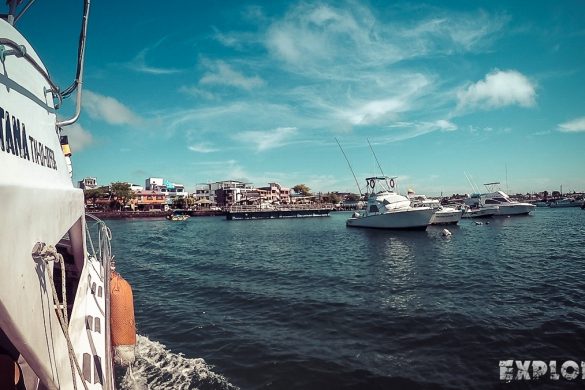 Ecuador Santa Cruz Galapagos Gordon Rocks Scuba Diving Backpacking Backpacker Travel