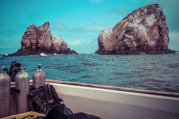 Ecuador Santa Cruz Galapagos Gordon Rocks Scuba Diving Backpacking Backpacker Travel