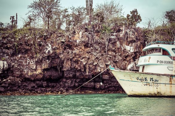 Ecuador Santa Cruz Galapagos Harbor Backpacking Backpacker Travel