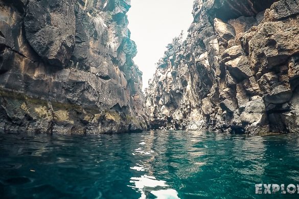Ecuador Santa Cruz Galapagos Las Grietas Snorkeling Backpacking Backpacker Travel