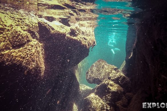 Ecuador Santa Cruz Galapagos Las Grietas Snorkeling Backpacking Backpacker Travel