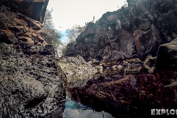 Ecuador Santa Cruz Galapagos Las Grietas Snorkeling Backpacking Backpacker Travel