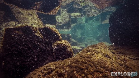Ecuador Santa Cruz Galapagos Las Grietas Snorkeling Backpacking Backpacker Travel