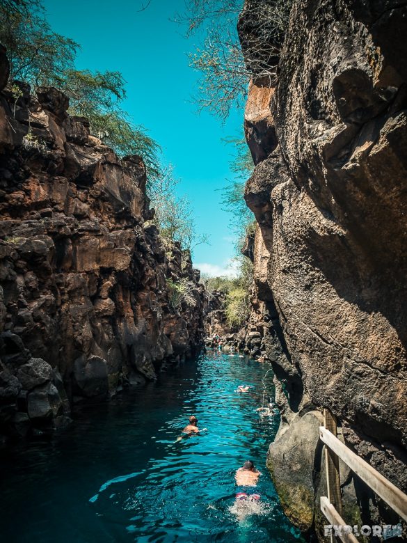 Ecuador Santa Cruz Galapagos Las Grietas Snorkeling Backpacking Backpacker Travel