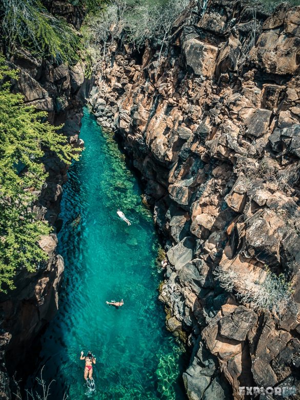 Ecuador Santa Cruz Galapagos Las Grietas Snorkeling Backpacking Backpacker Travel