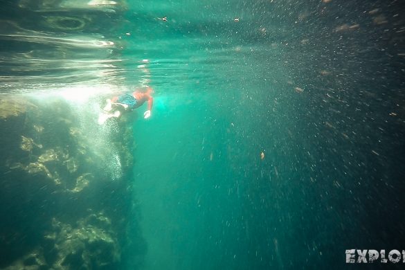 Ecuador Santa Cruz Galapagos Las Grietas Snorkeling Backpacking Backpacker Travel