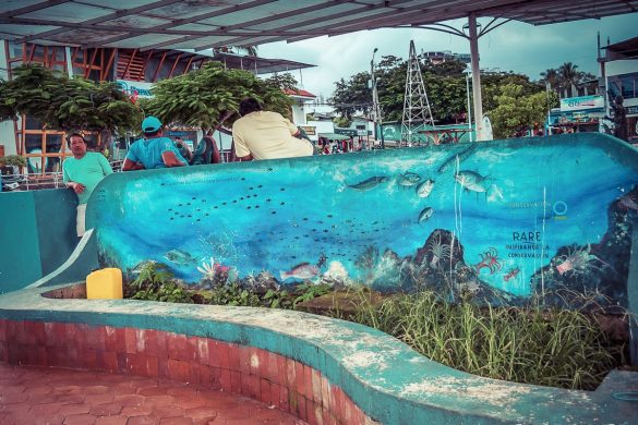 Ecuador Santa Cruz Galapagos Mural Backpacking Backpacker Travel
