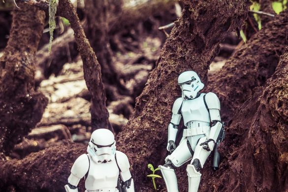 Ecuador Santa Cruz Galapagos Playa Alemanes Surfing Stormtrooper Backpacking Backpacker Travel